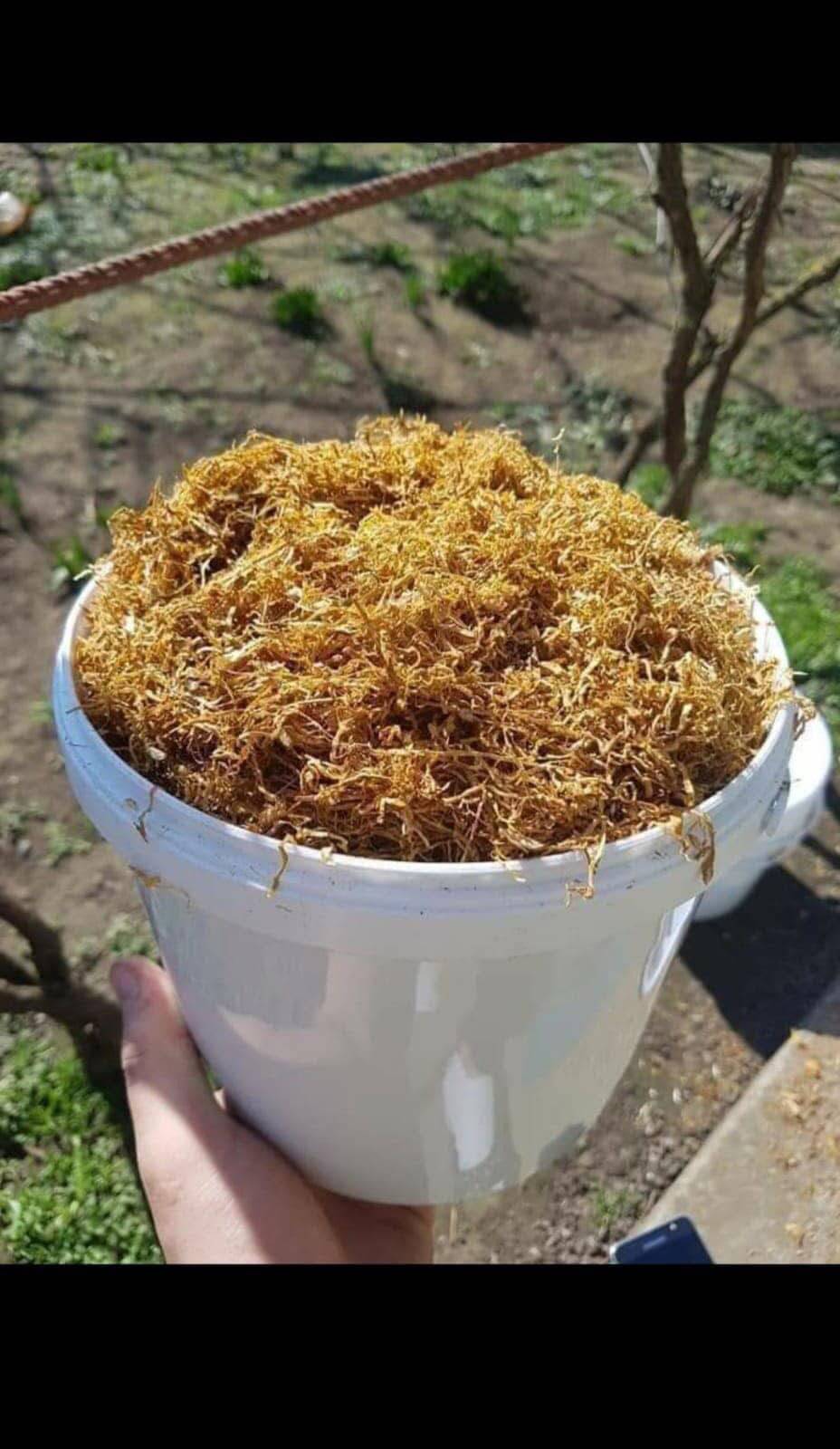 Găleată natur