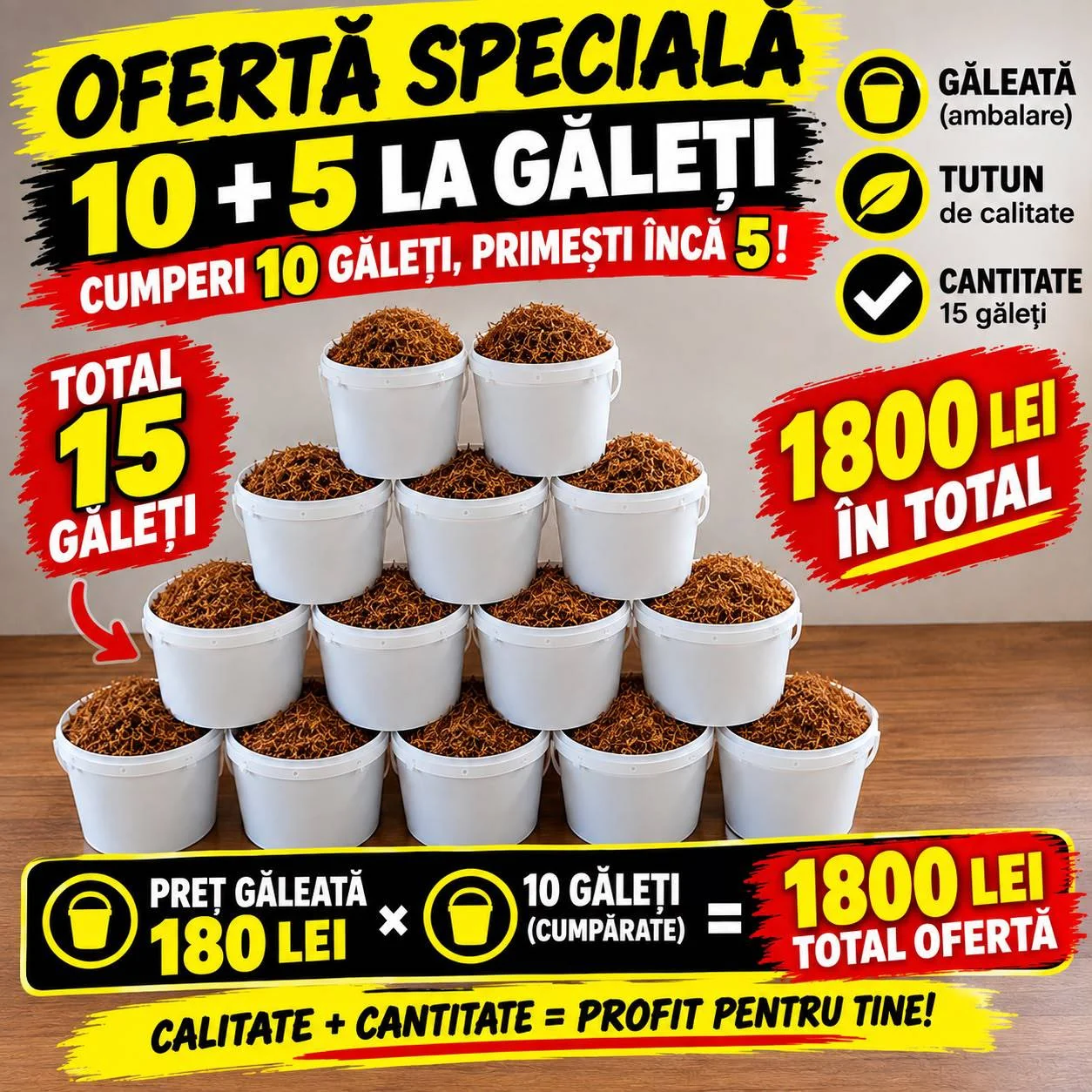 Oferta 10+5