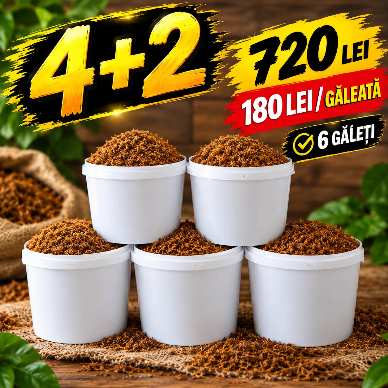 Oferta 4+2