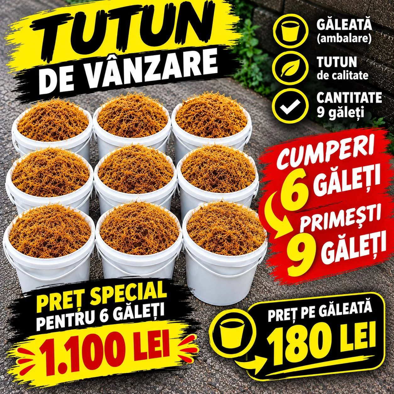 Oferta 6+3